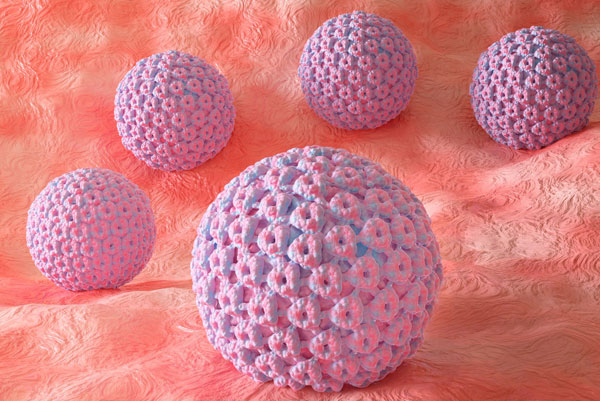 hpv-pso